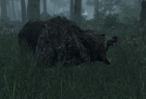 1000px-EN-Creature-Black Bear.png